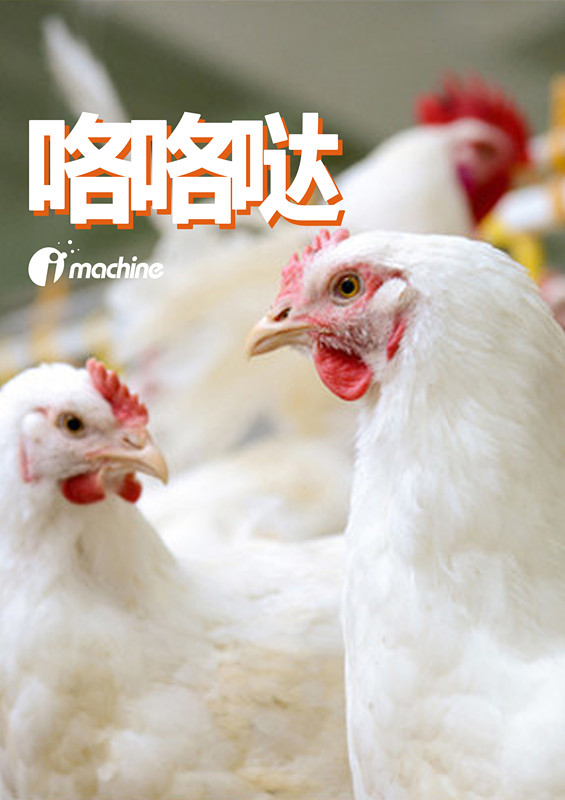 未标题-1_副本.jpg