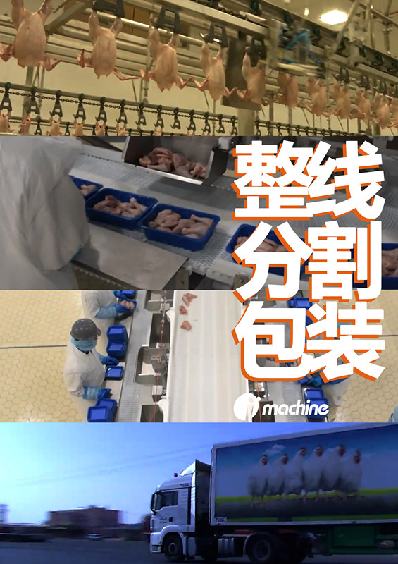 未标题-2_副本.jpg